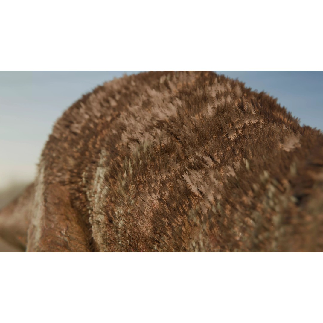 Tyrannosaurus Rex 3D Model – Low Poly Rigged Dinosaur, Blender - View 9