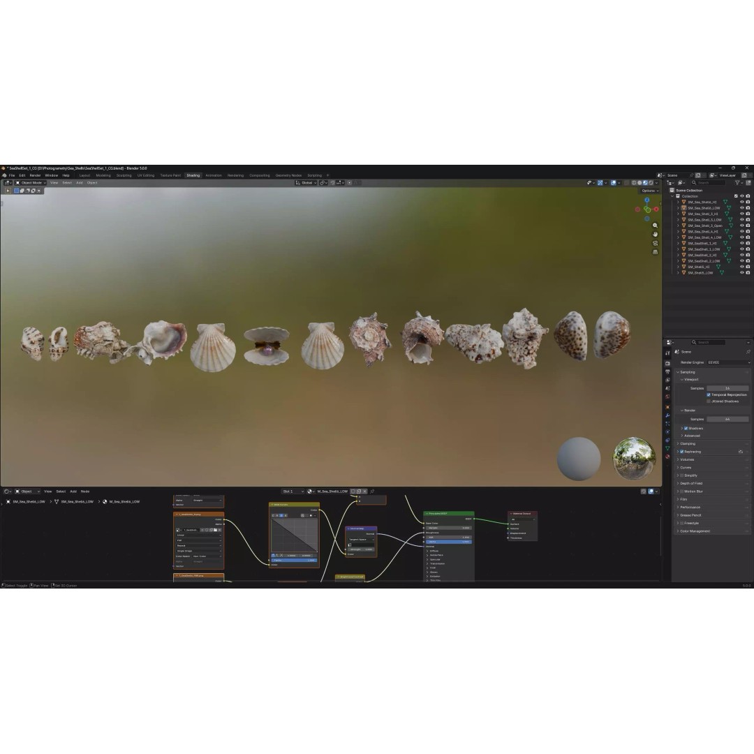 Sea Shells 3D Model – Low Poly Game Ready Asset, FBX & OBJ - View 3