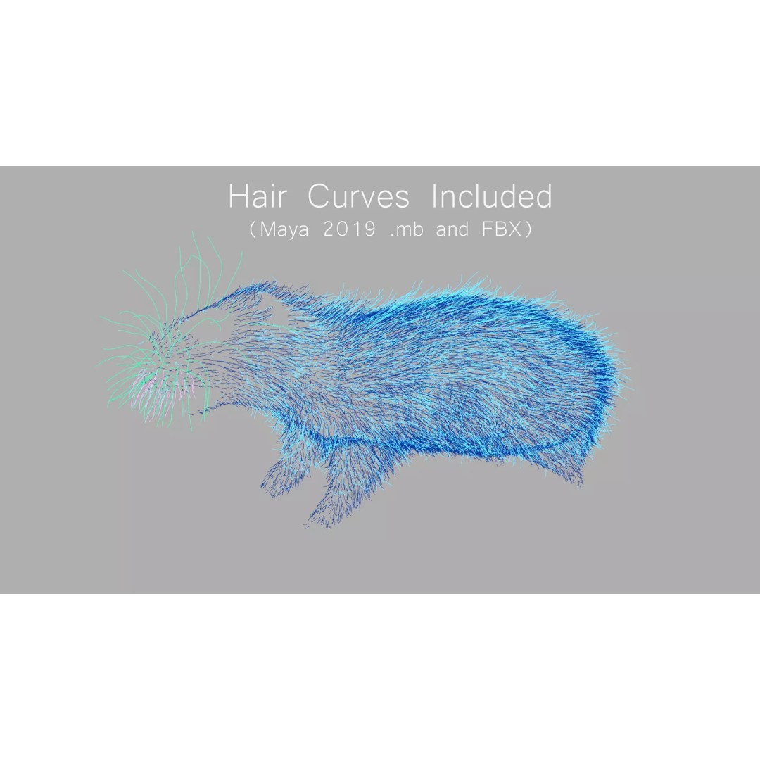Black Rat 3D Model – Rigged Animal Asset with Realistic Fur - View 16