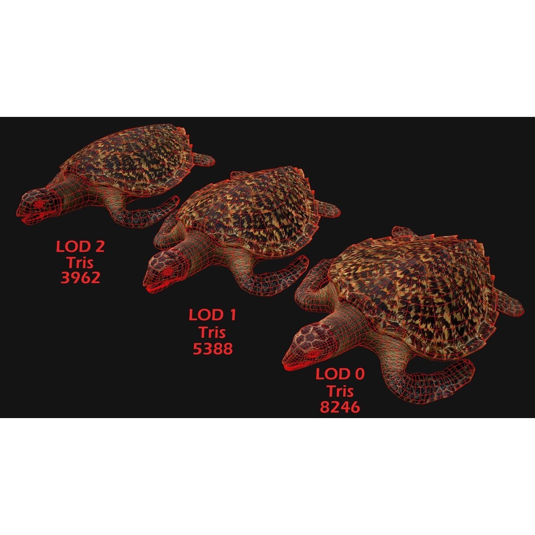 Turtle 3D Model – Low Poly Stylized Game Asset, FBX - View 4