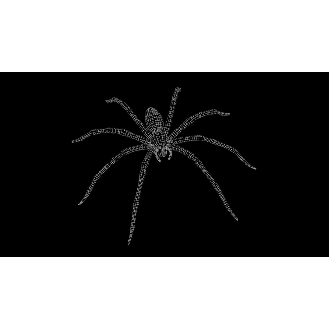 Fishing Spider 3D Model – Low Poly PBR Textured Asset, FBX - View 12