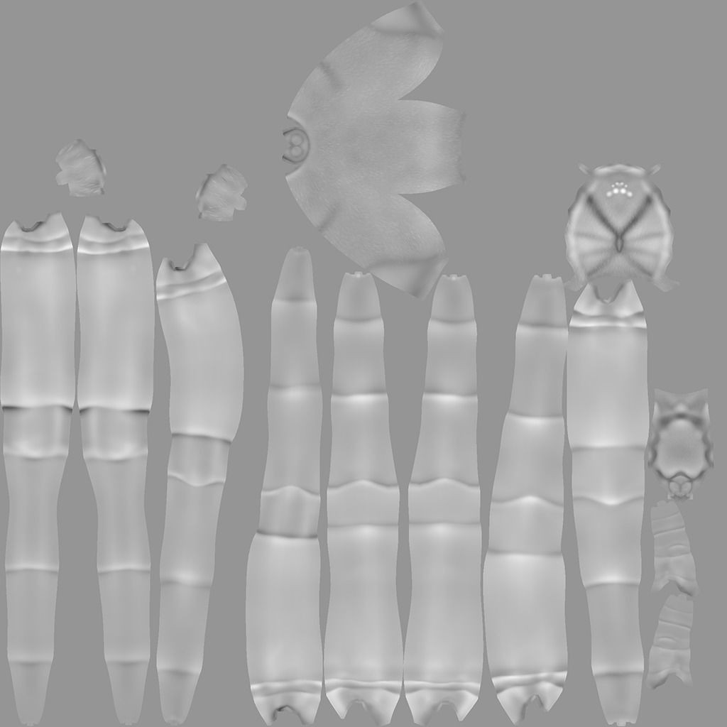 Fishing Spider 3D Model – Low Poly PBR Textured Asset, FBX - View 13