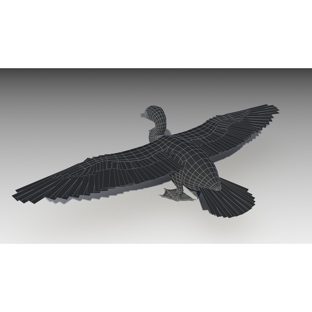 Great Cormorant 3D Model – Low Poly Animated Bird Asset, FBX/Blender