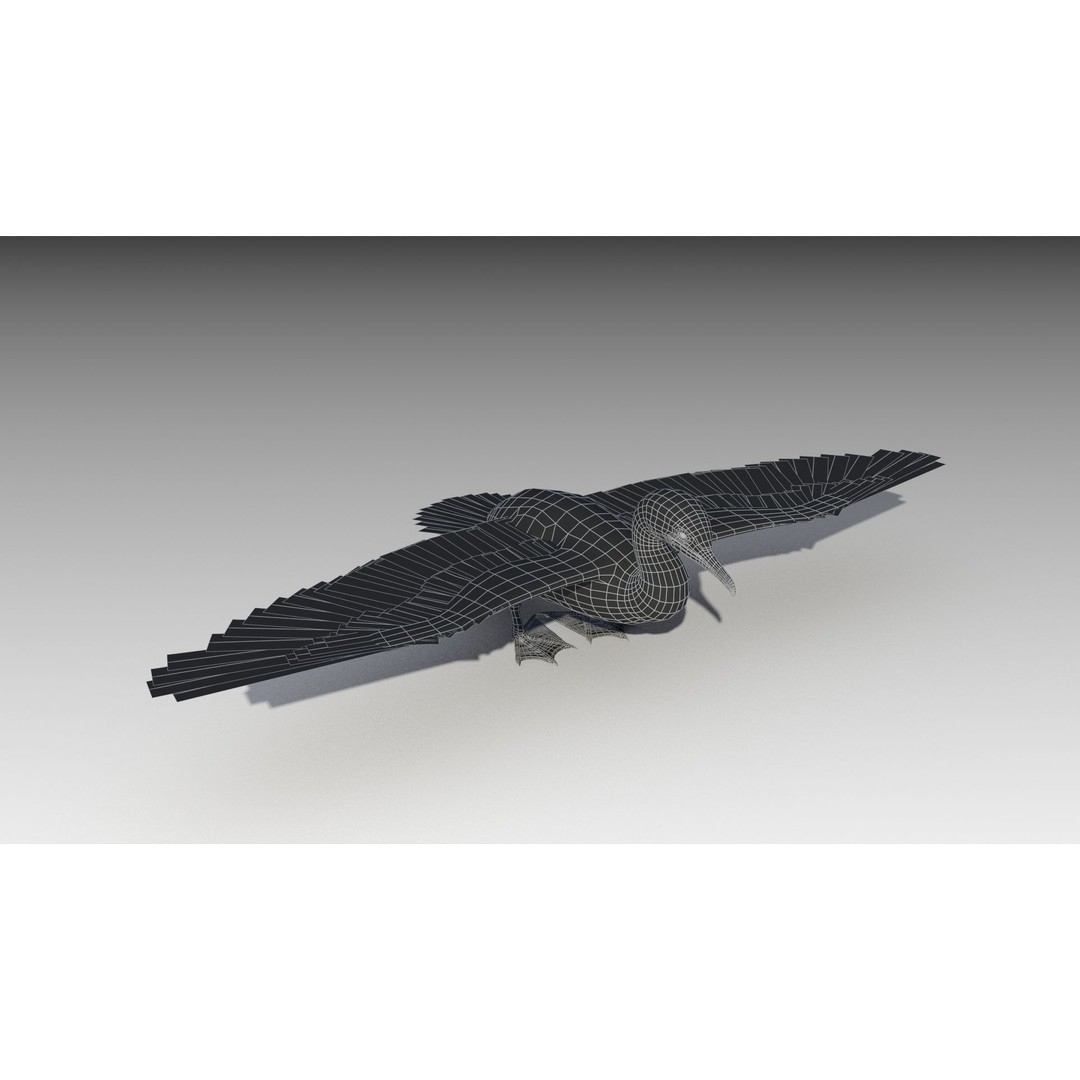 Great Cormorant 3D Model – Low Poly Animated Bird Asset, FBX/Blender - View 11