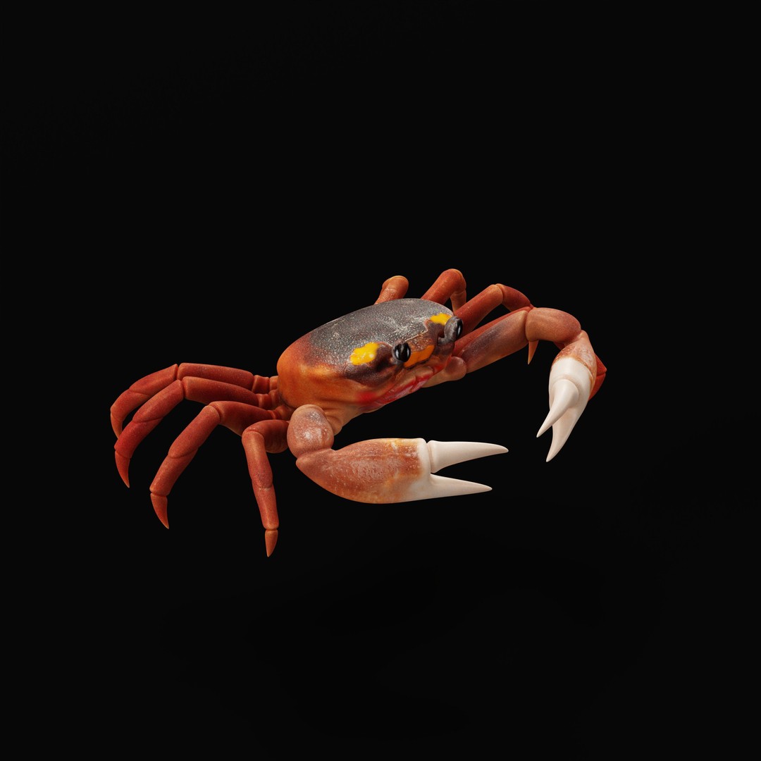Halloween Moon Crab 3D Model – Low Poly Game Asset, FBX, PBR Textures