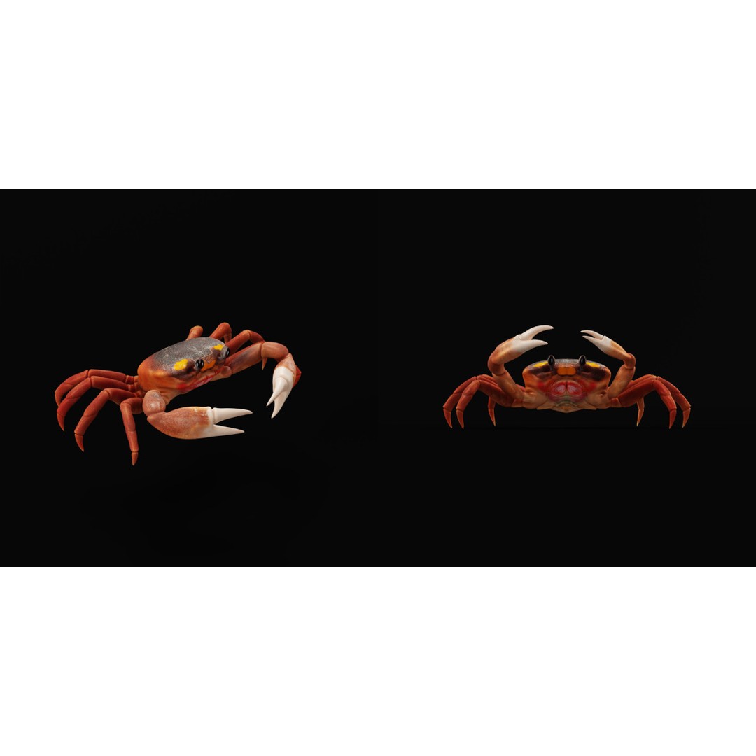 Halloween Moon Crab 3D Model – Low Poly Game Asset, FBX, PBR Textures - View 10