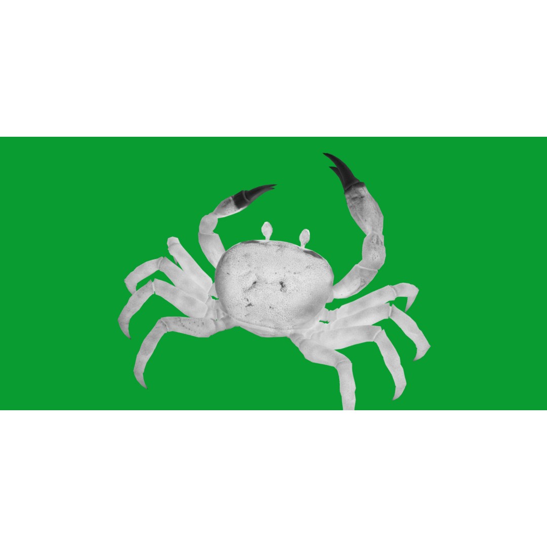 Halloween Moon Crab 3D Model – Low Poly Game Asset, FBX, PBR Textures - View 12