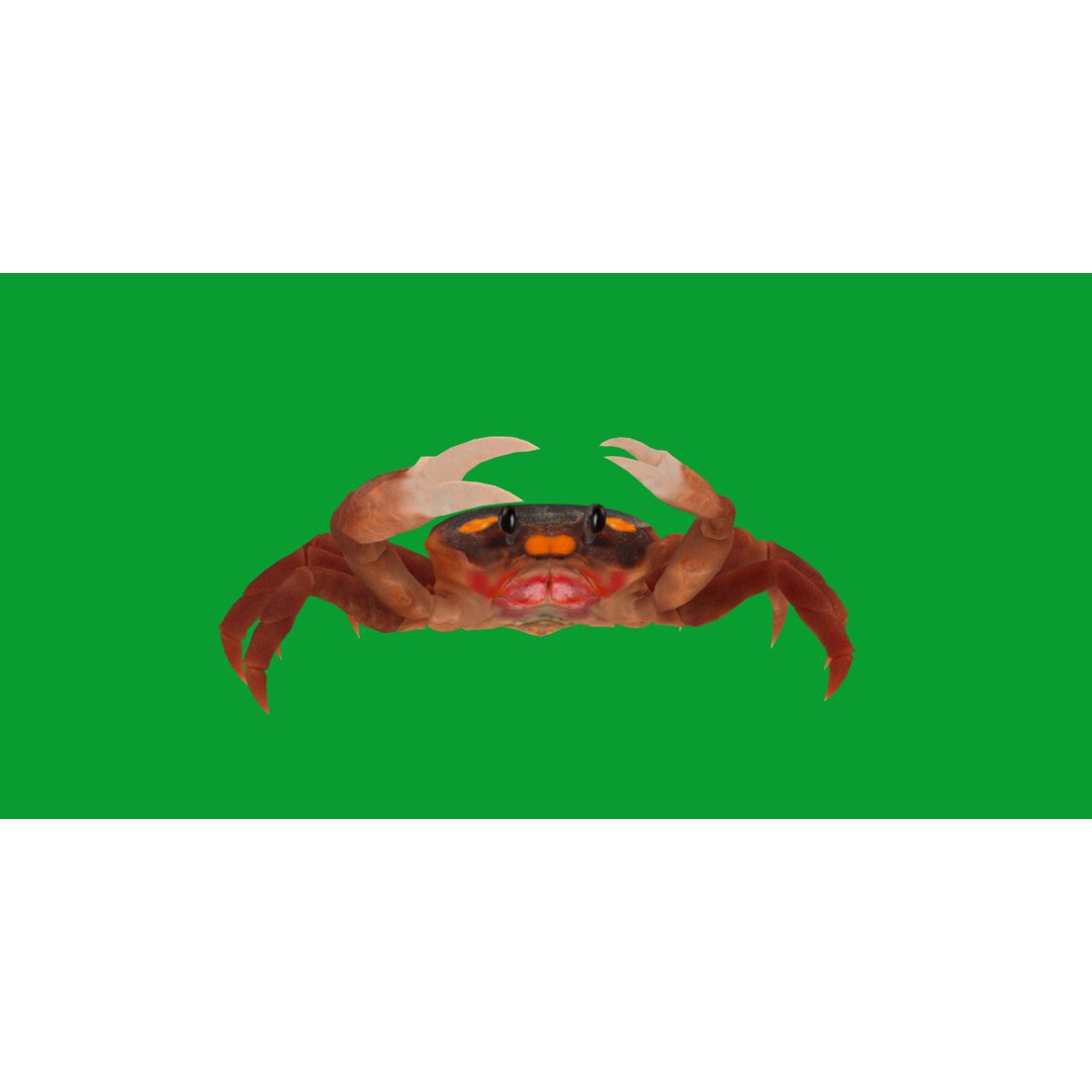 Halloween Moon Crab 3D Model – Low Poly Game Asset, FBX, PBR Textures - View 14