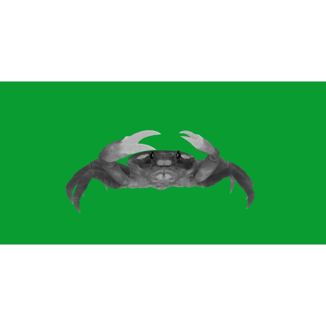 Halloween Moon Crab 3D Model – Low Poly Game Asset, FBX, PBR Textures - View 15