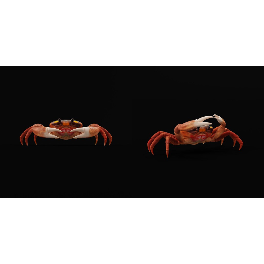 Halloween Moon Crab 3D Model – Low Poly Game Asset, FBX, PBR Textures - View 17