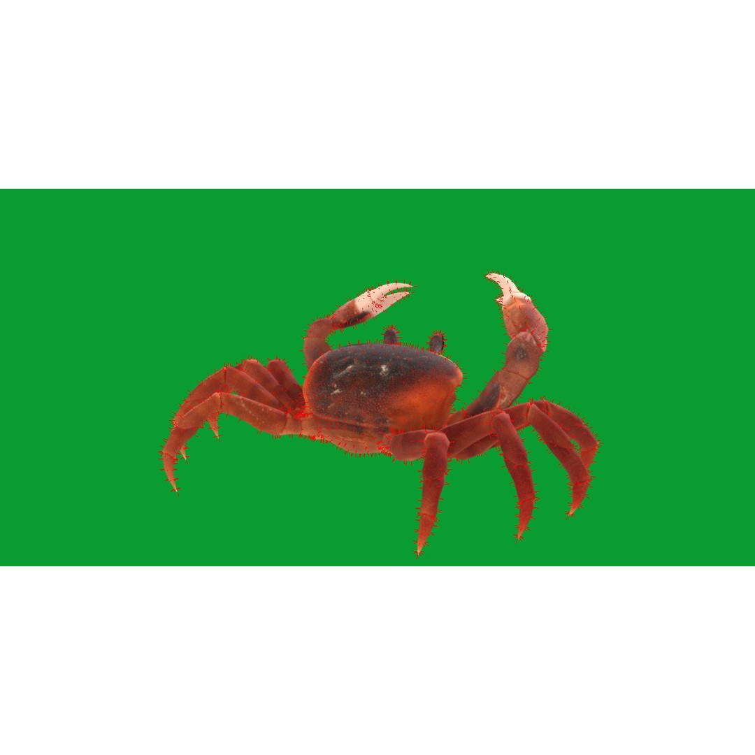 Halloween Moon Crab 3D Model – Low Poly Game Asset, FBX, PBR Textures - View 22
