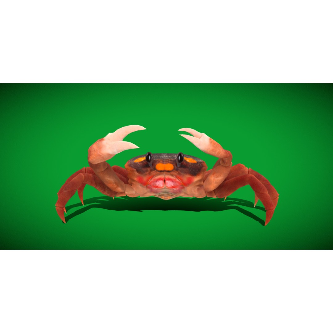 Halloween Moon Crab 3D Model – Low Poly Game Asset, FBX, PBR Textures - View 27