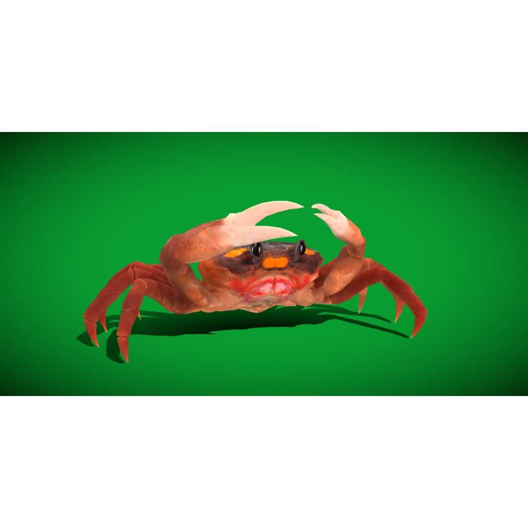 Halloween Moon Crab 3D Model – Low Poly Game Asset, FBX, PBR Textures - View 28