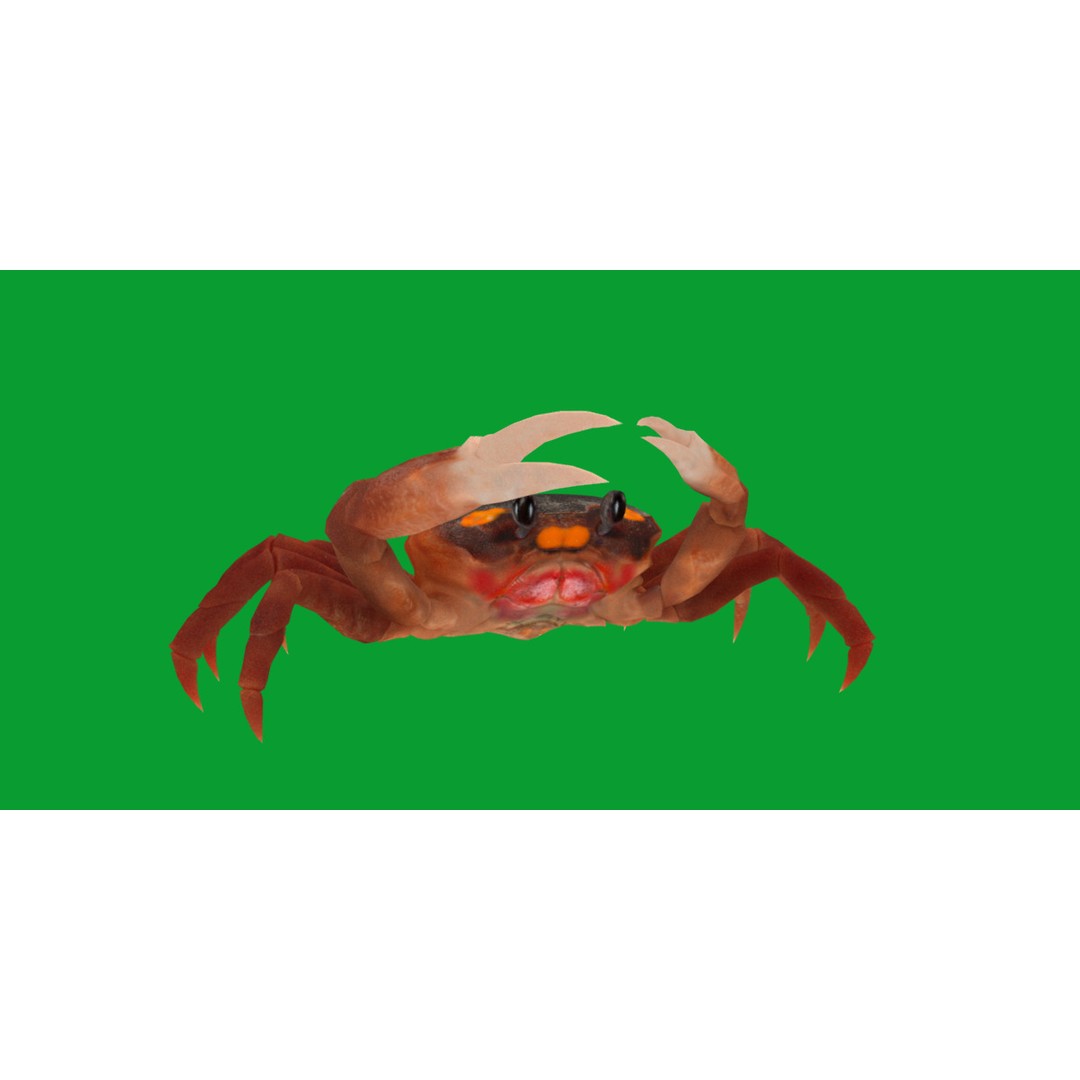 Halloween Moon Crab 3D Model – Low Poly Game Asset, FBX, PBR Textures - View 29