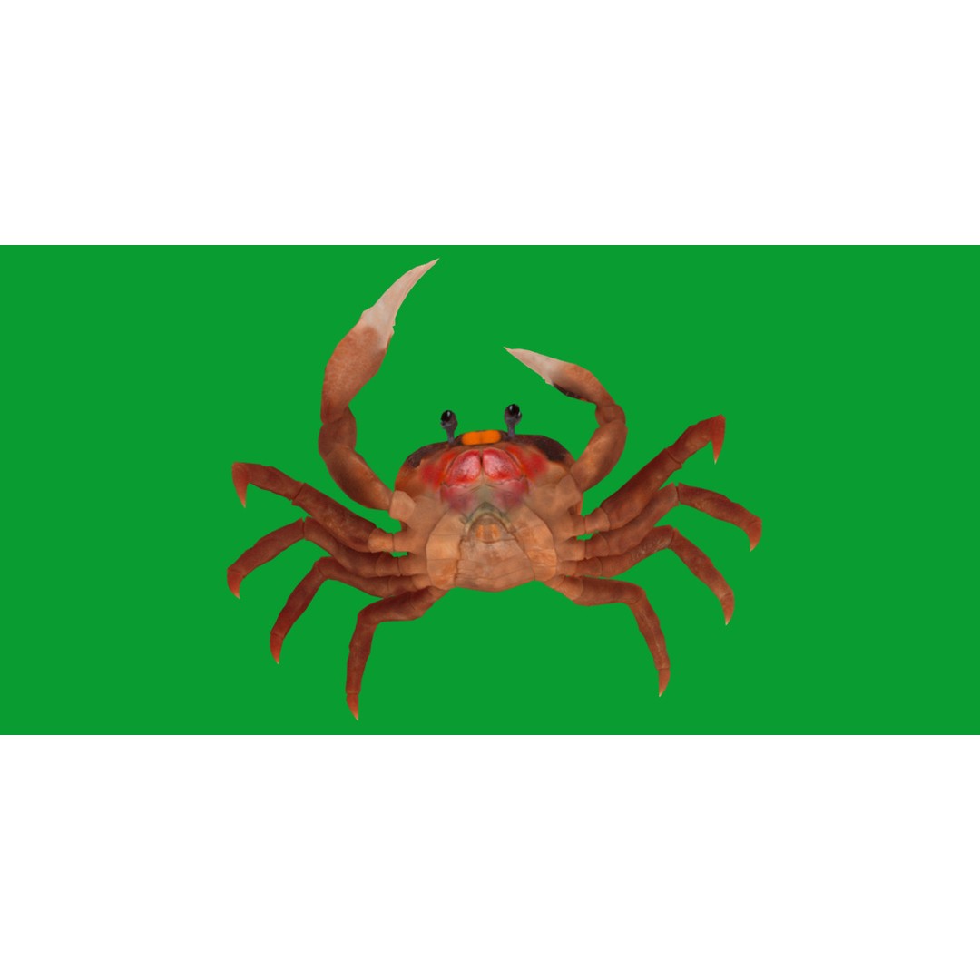 Halloween Moon Crab 3D Model – Low Poly Game Asset, FBX, PBR Textures - View 30