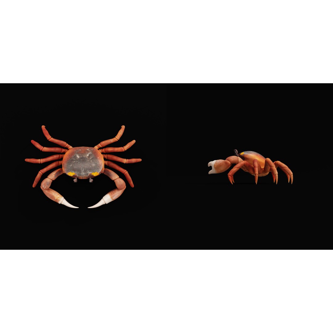 Halloween Moon Crab 3D Model – Low Poly Game Asset, FBX, PBR Textures - View 31