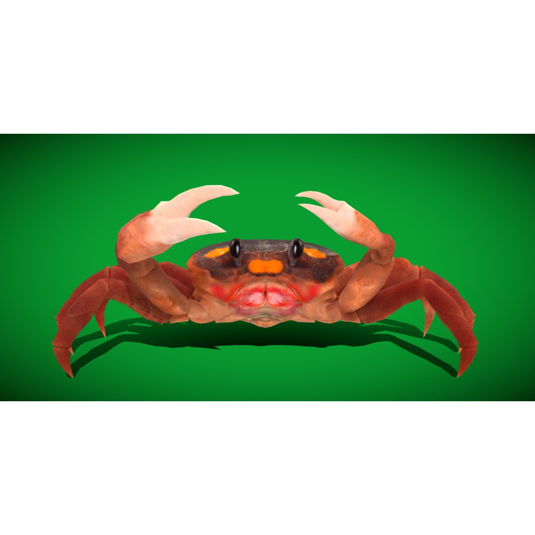 Halloween Moon Crab 3D Model – Low Poly Game Asset, FBX, PBR Textures - View 35