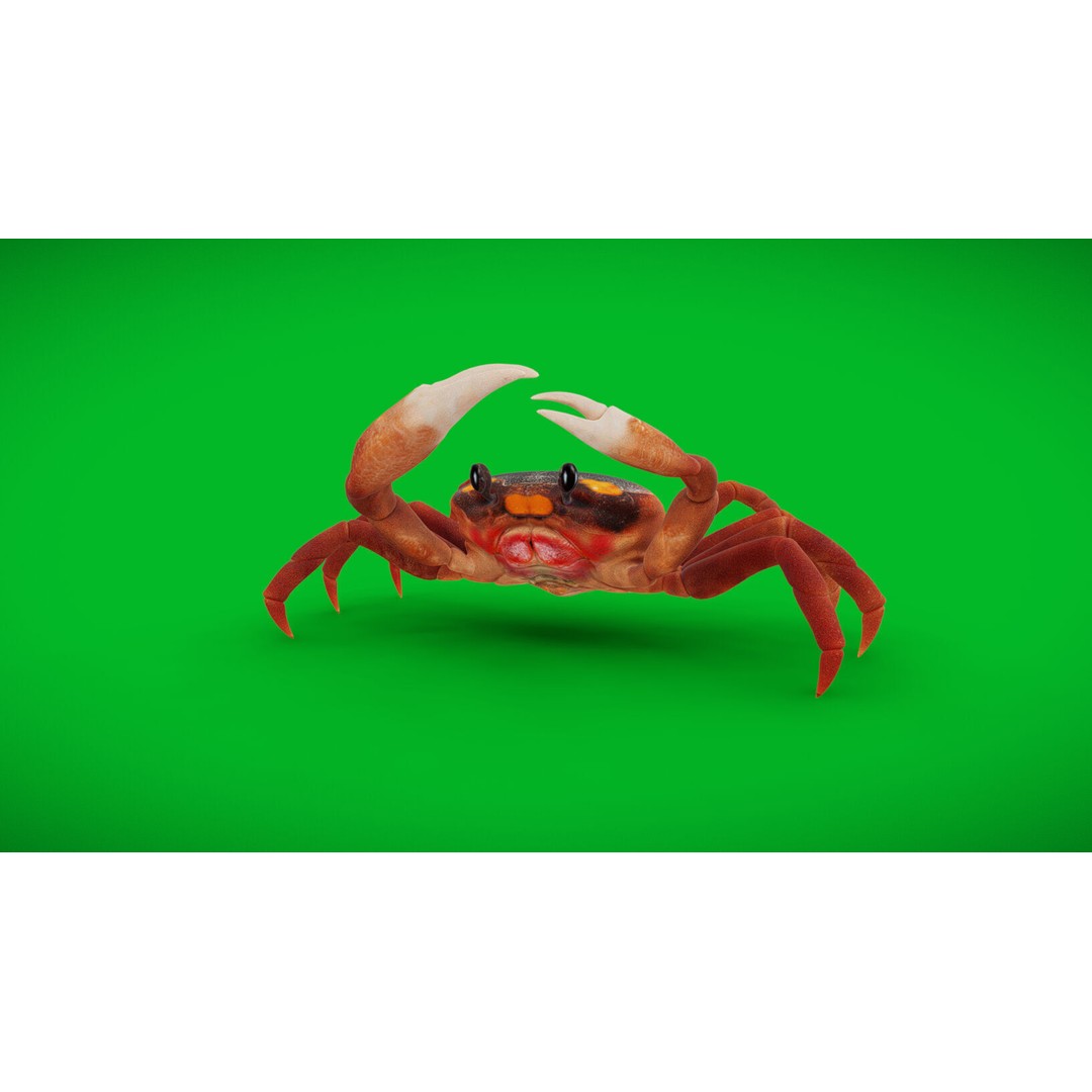 Halloween Moon Crab 3D Model – Low Poly Game Asset, FBX, PBR Textures - View 36
