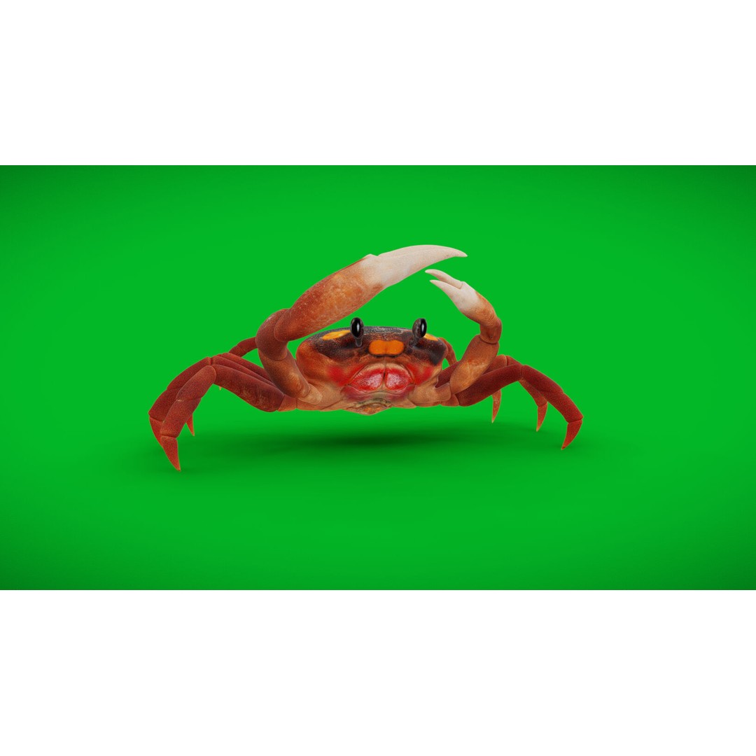 Halloween Moon Crab 3D Model – Low Poly Game Asset, FBX, PBR Textures - View 37