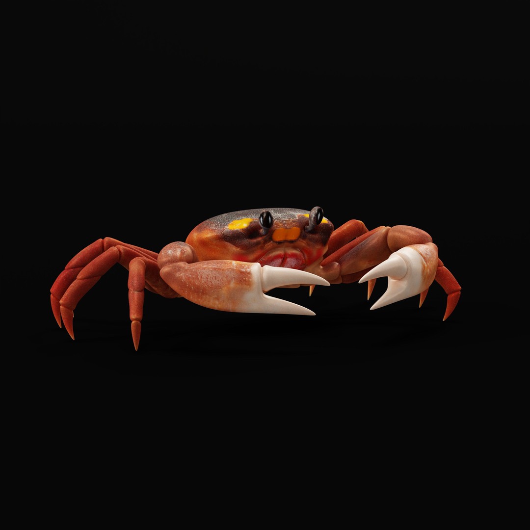 Halloween Moon Crab 3D Model – Low Poly Game Asset, FBX, PBR Textures - View 38