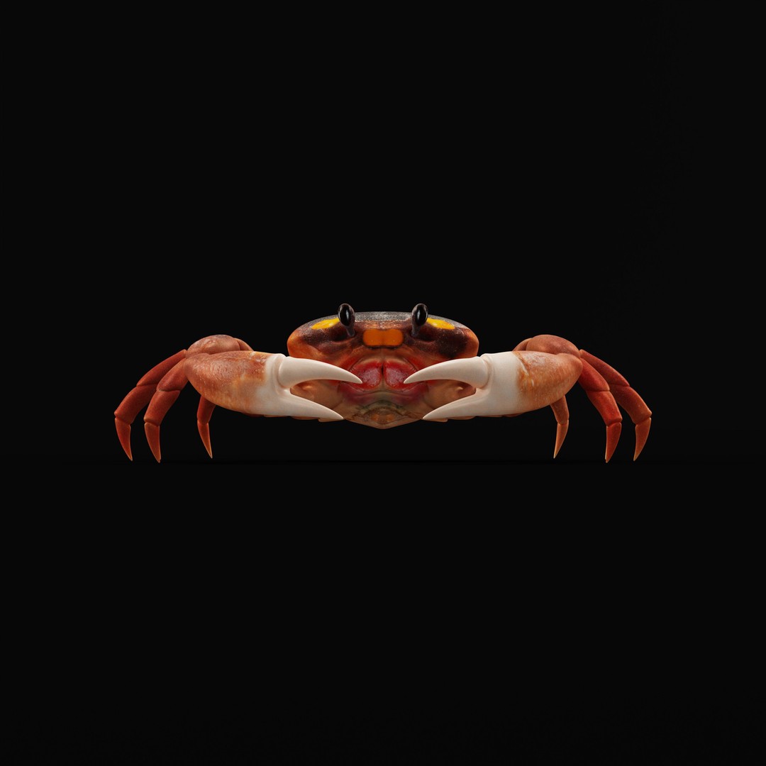 Halloween Moon Crab 3D Model – Low Poly Game Asset, FBX, PBR Textures - View 39