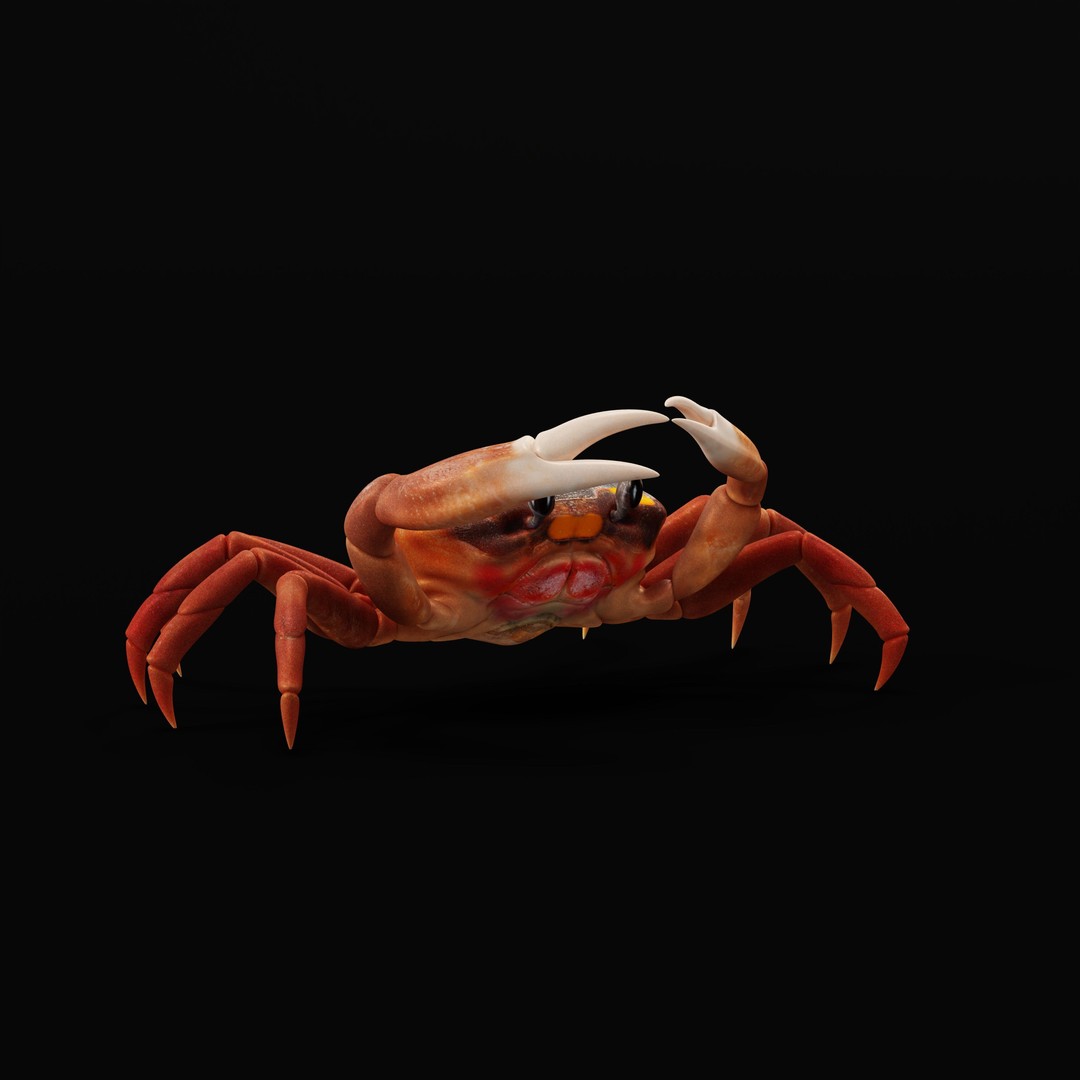 Halloween Moon Crab 3D Model – Low Poly Game Asset, FBX, PBR Textures - View 42