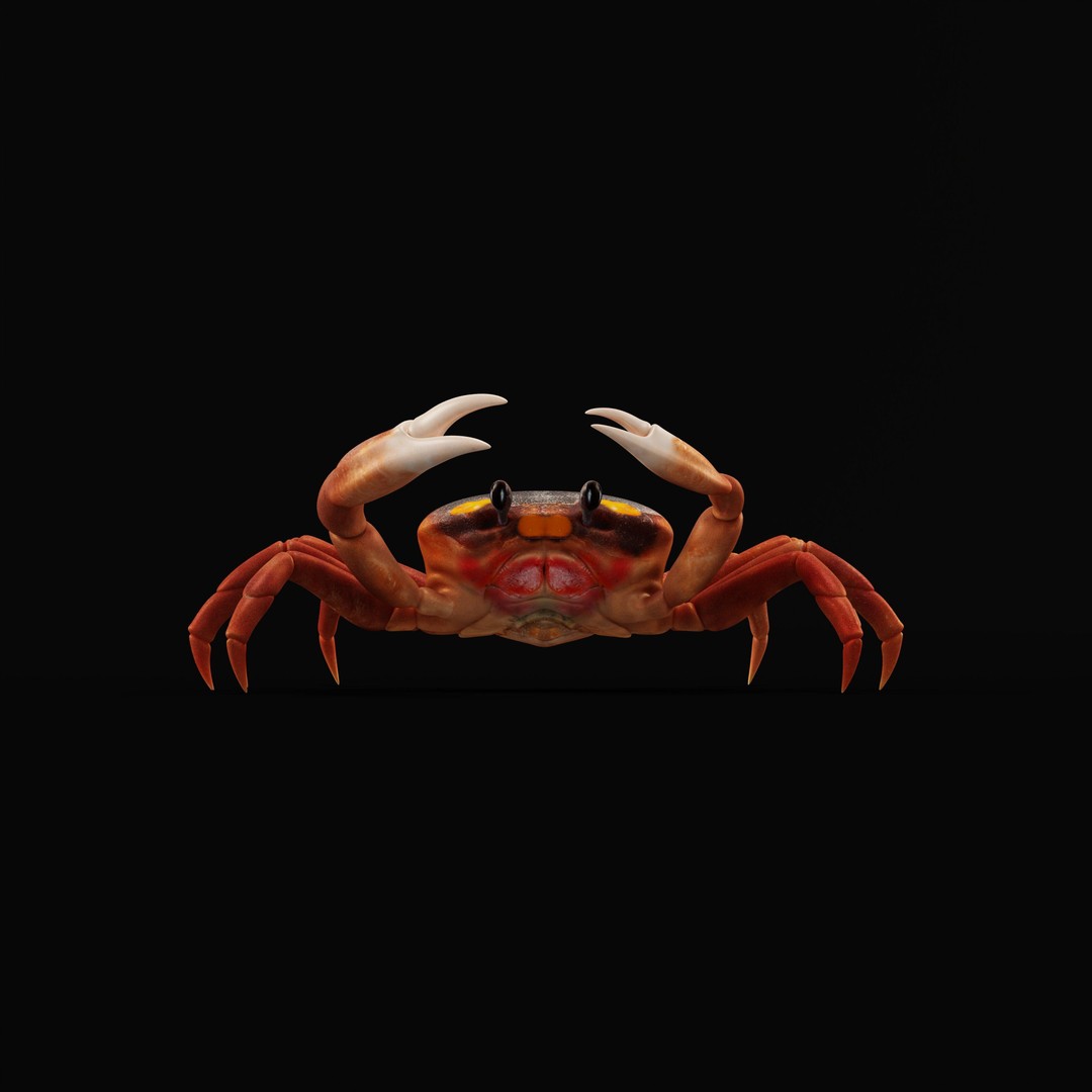 Halloween Moon Crab 3D Model – Low Poly Game Asset, FBX, PBR Textures - View 43
