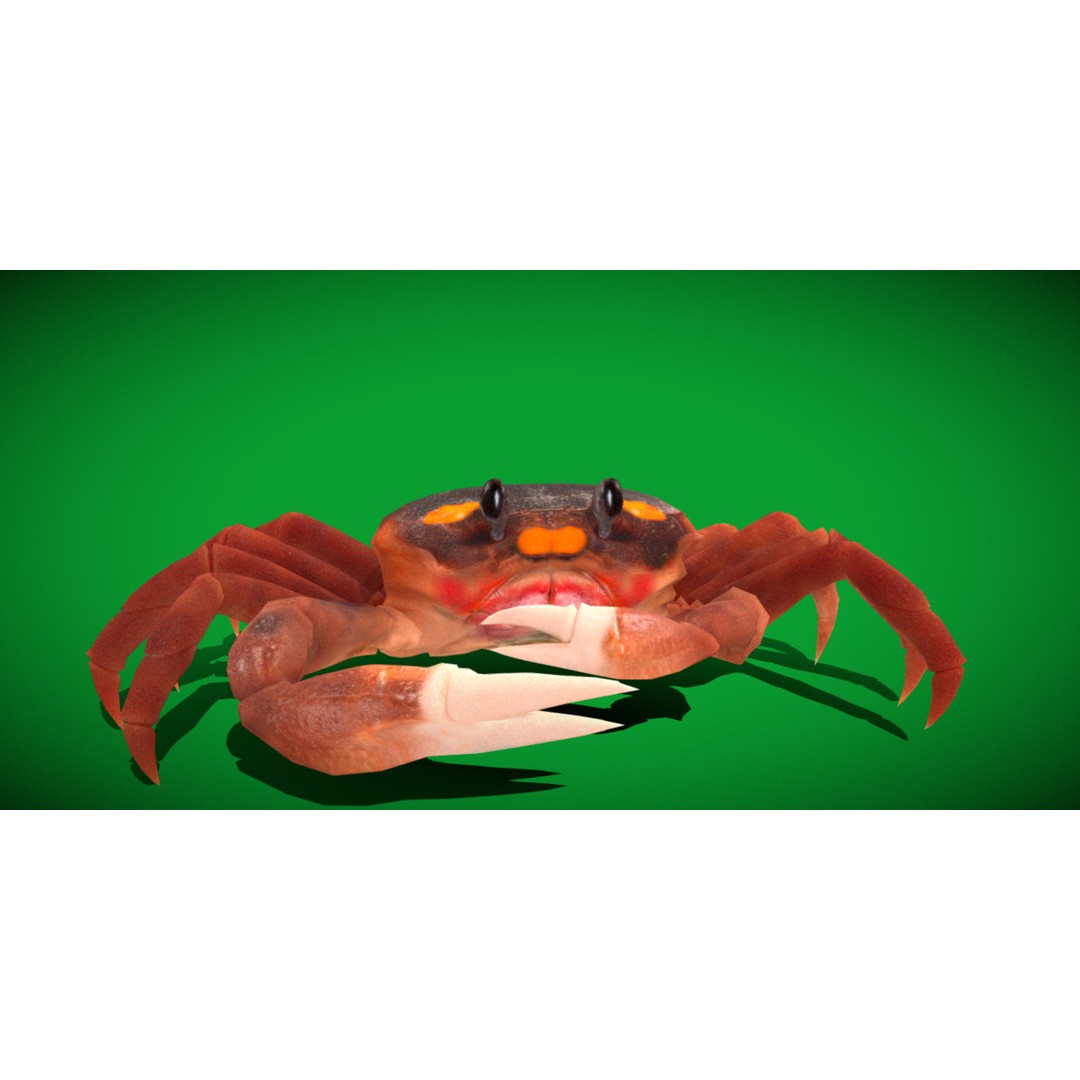 Halloween Moon Crab 3D Model – Low Poly Game Asset, FBX, PBR Textures - View 6