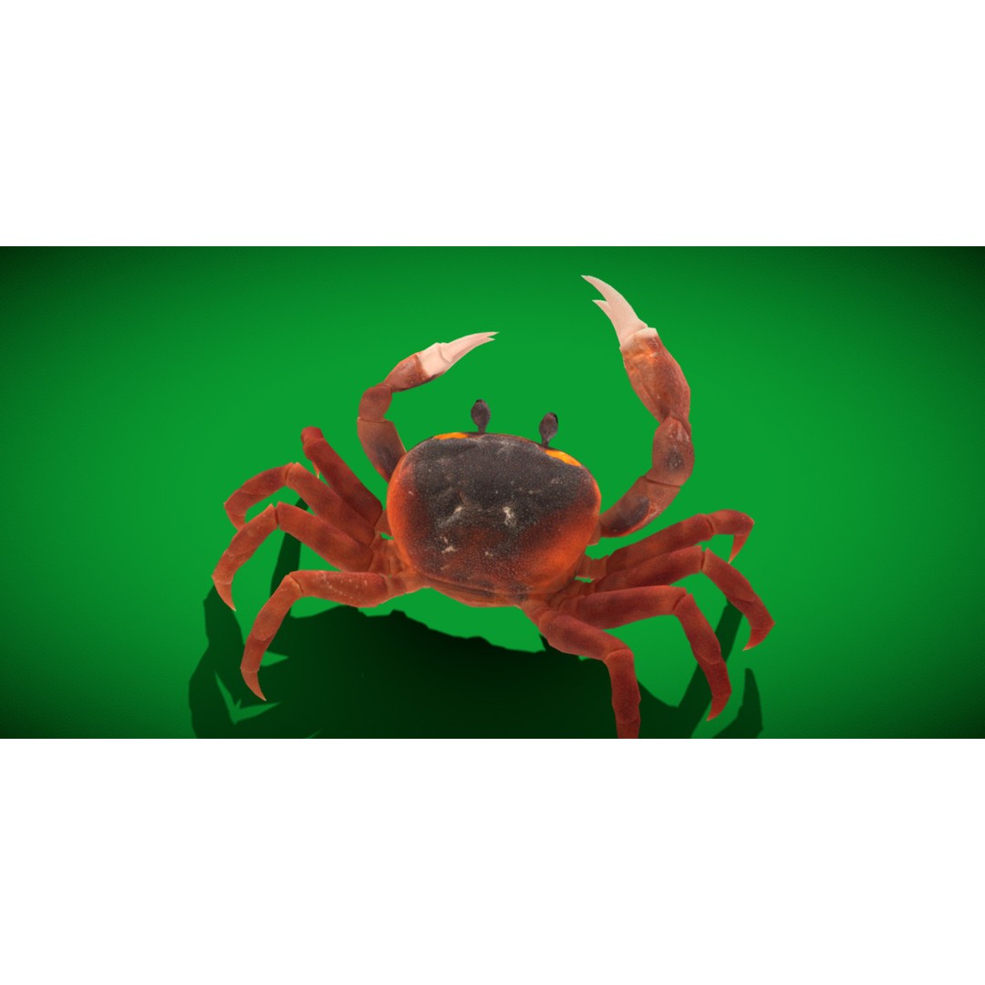 Halloween Moon Crab 3D Model – Low Poly Game Asset, FBX, PBR Textures - View 8