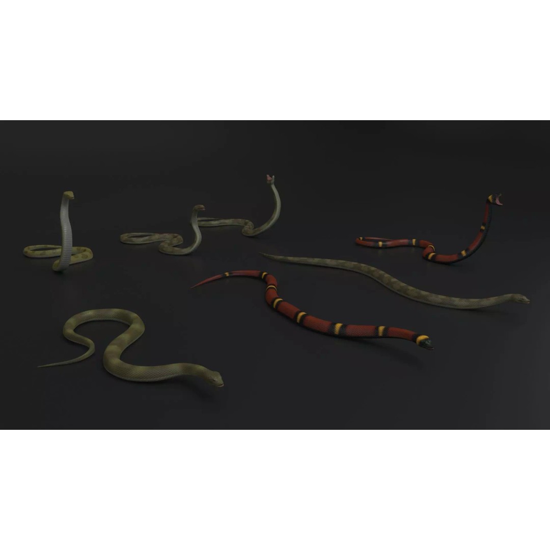 Snake 3D Model – Rigged Animated Reptile with PBR Textures - View 2
