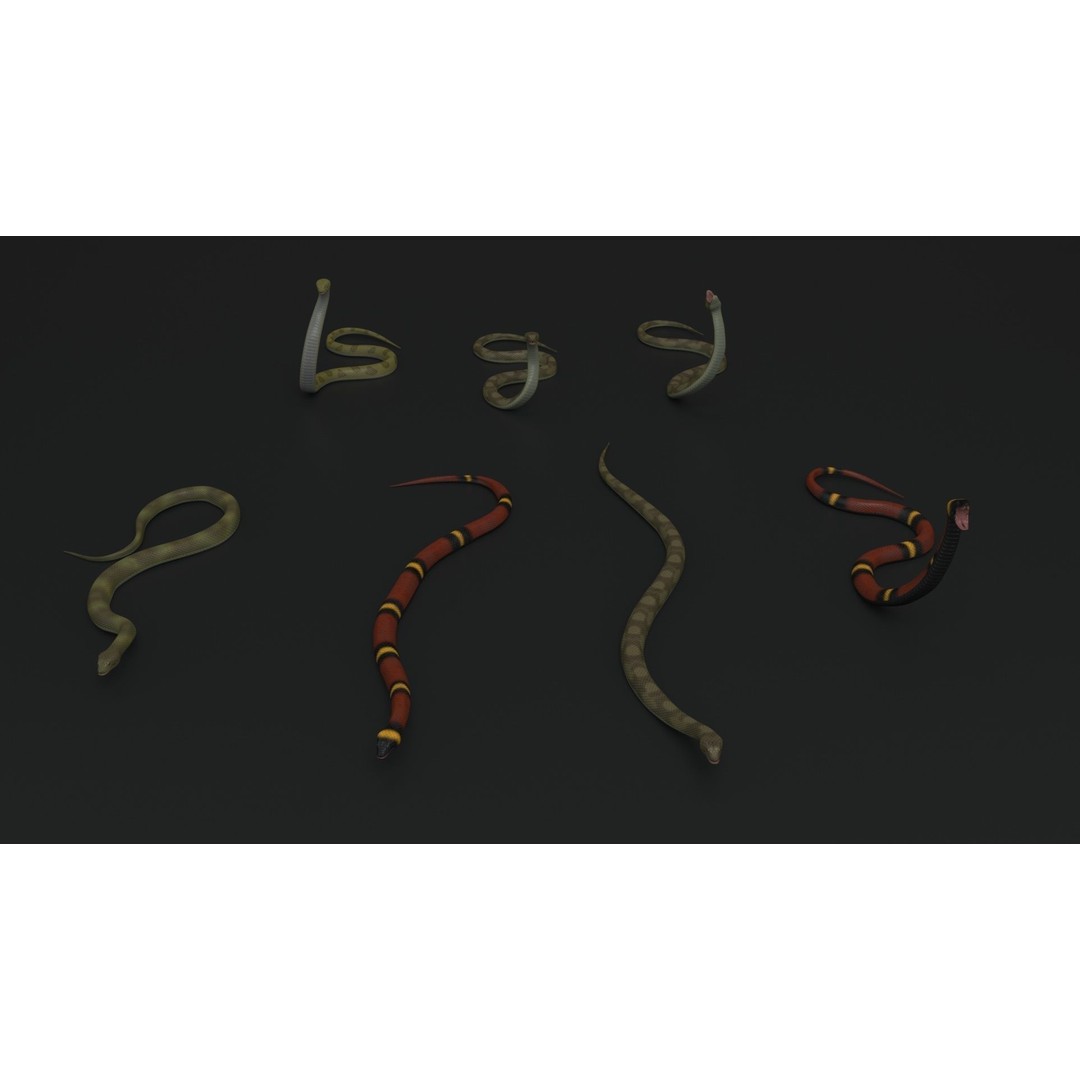 Snake 3D Model – Rigged Animated Reptile with PBR Textures - View 3