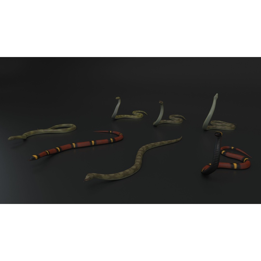 Snake 3D Model – Rigged Animated Reptile with PBR Textures - View 4