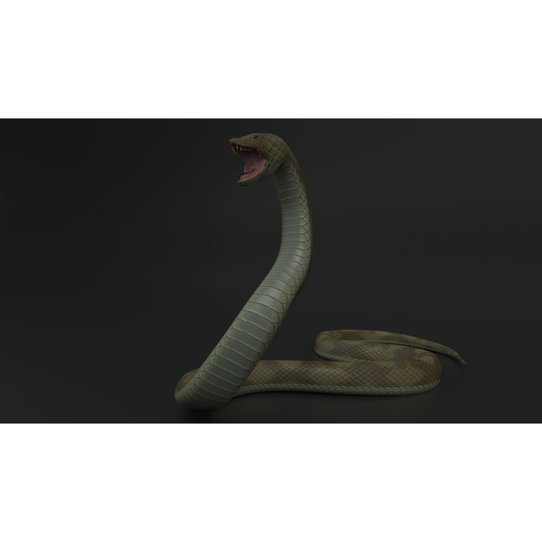 Snake 3D Model – Rigged Animated Reptile with PBR Textures - View 5