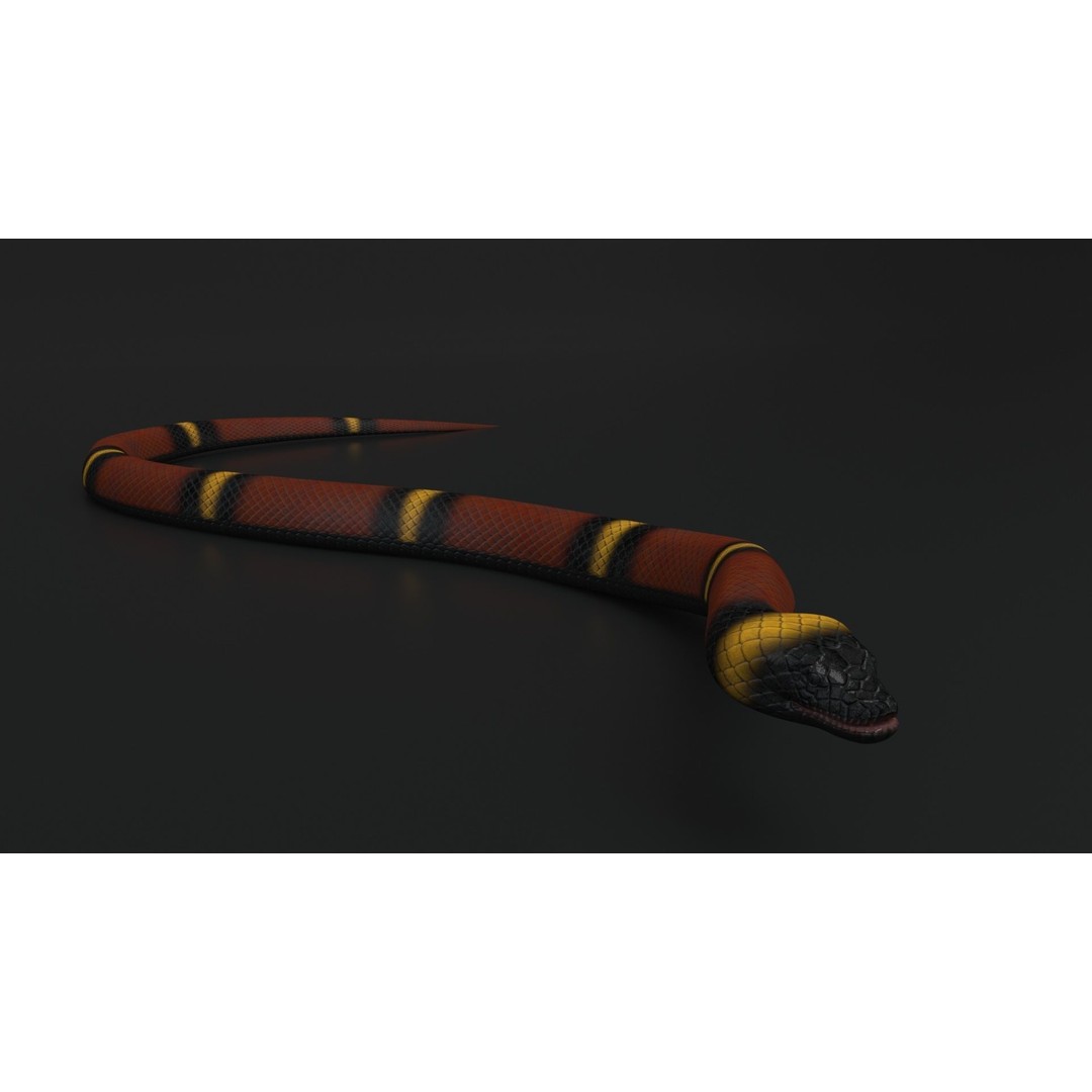 Snake 3D Model – Rigged Animated Reptile with PBR Textures - View 7
