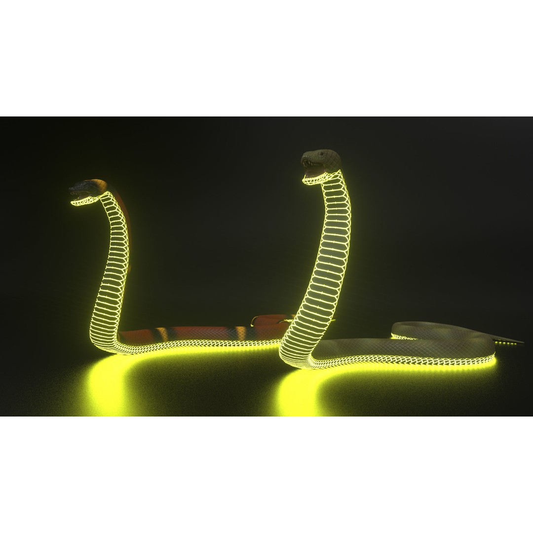 Snake 3D Model – Rigged Animated Reptile with PBR Textures - View 8