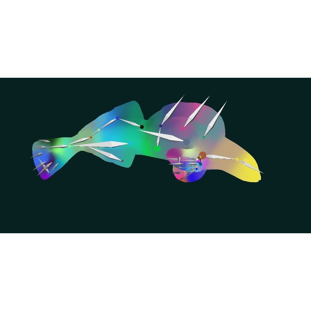 Roanoke Logperch Fish 3D Model – Low Poly Game Asset, FBX, PBR - View 16