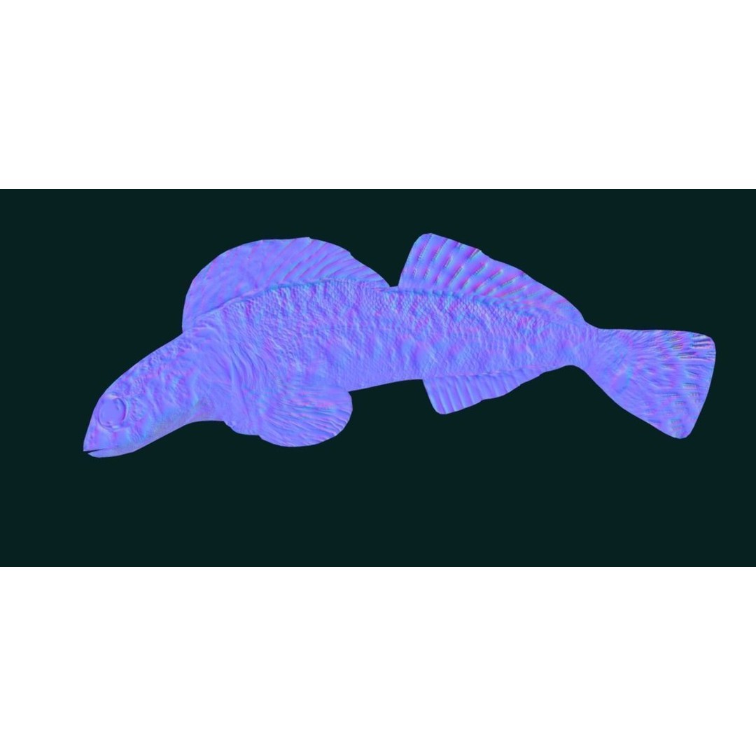 Roanoke Logperch Fish 3D Model – Low Poly Game Asset, FBX, PBR - View 18