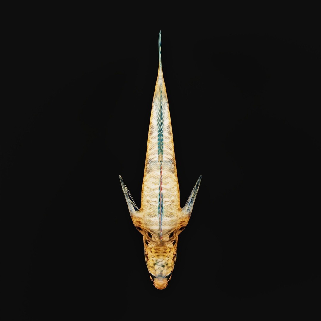 Roanoke Logperch Fish 3D Model – Low Poly Game Asset, FBX, PBR - View 4