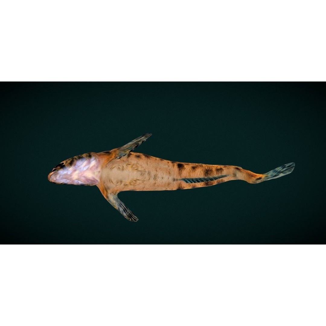 Roanoke Logperch Fish 3D Model – Low Poly Game Asset, FBX, PBR - View 6