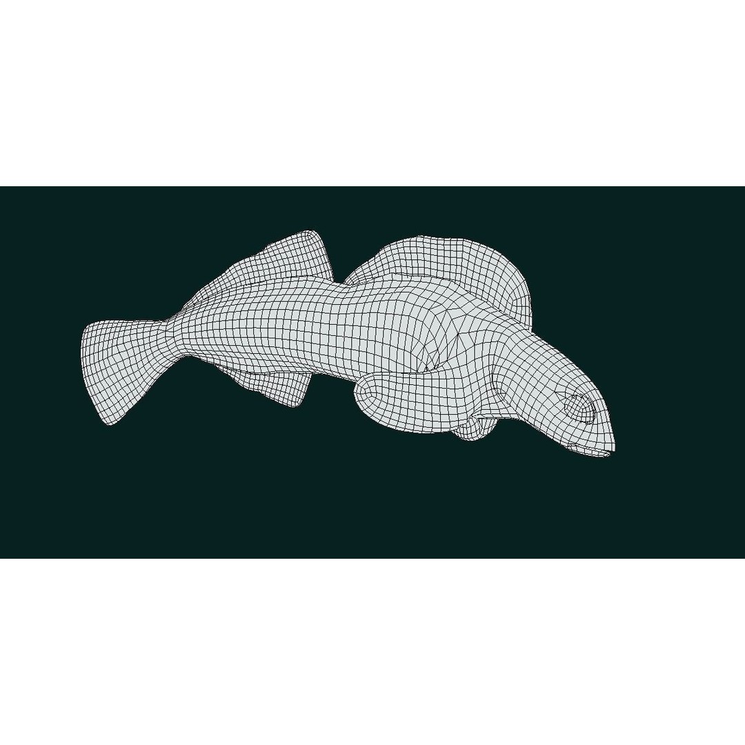 Roanoke Logperch Fish 3D Model – Low Poly Game Asset, FBX, PBR - View 9