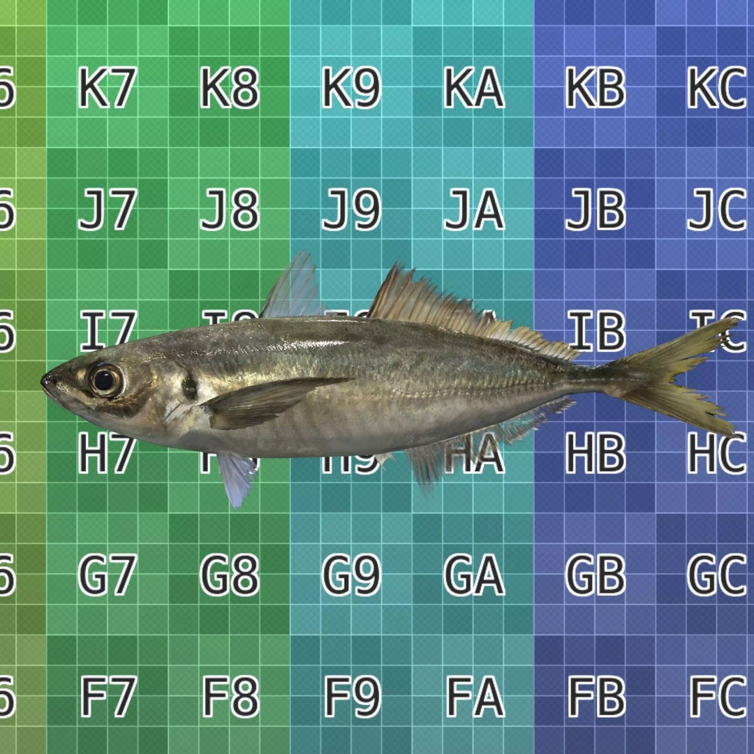 Horse Mackerel 3D Model – Low Poly Game Asset, FBX, PBR Textures - View 5