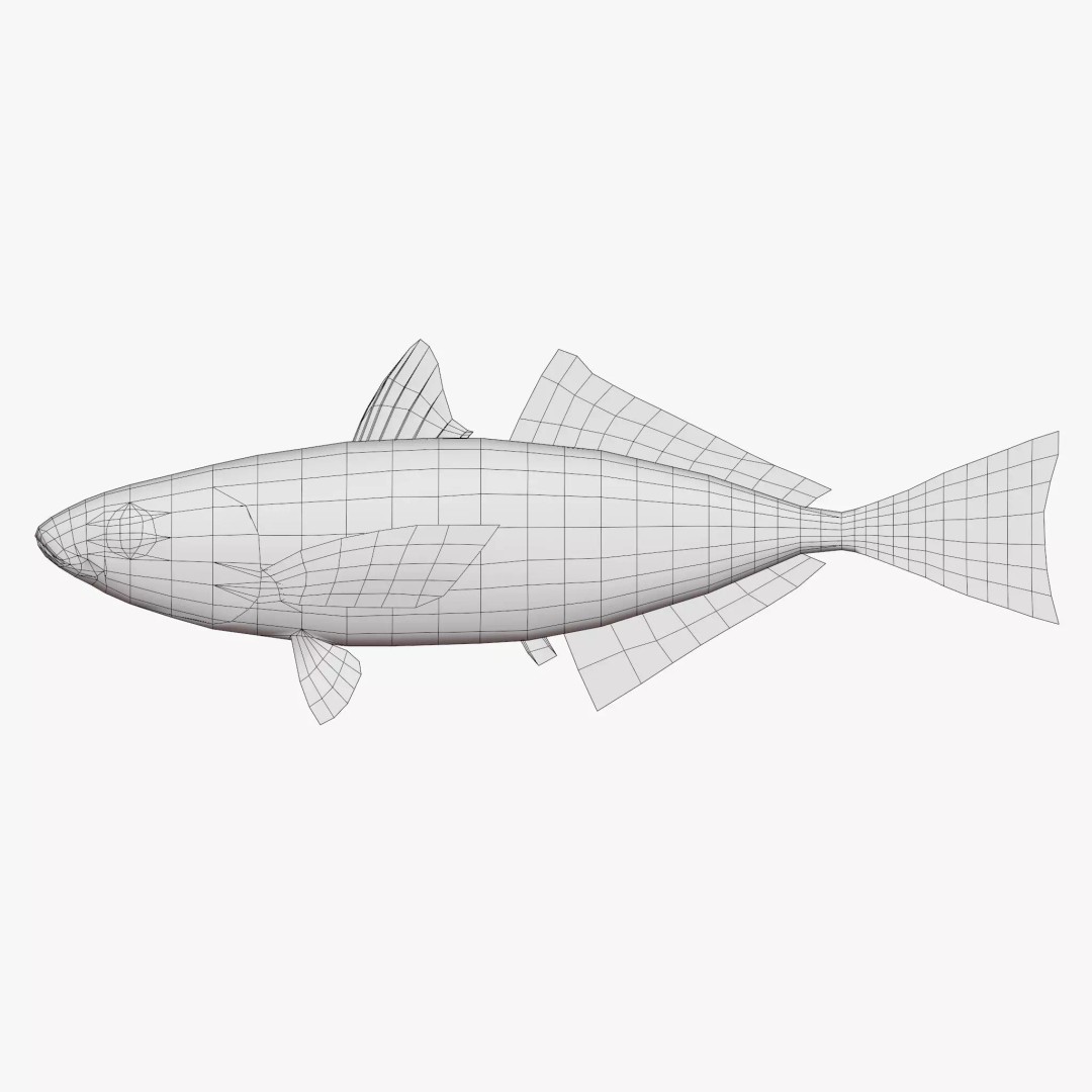 Horse Mackerel 3D Model – Low Poly Game Asset, FBX, PBR Textures - View 6