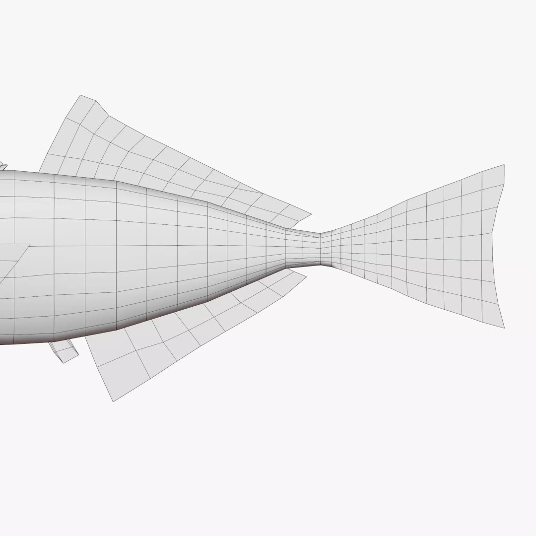 Horse Mackerel 3D Model – Low Poly Game Asset, FBX, PBR Textures - View 8
