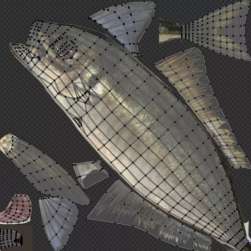 Horse Mackerel 3D Model – Low Poly Game Asset, FBX, PBR Textures - View 9