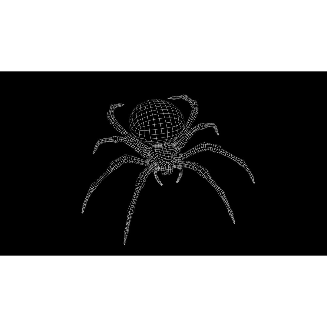 Garden Spider 3D Model – Low Poly Rigged Insect with PBR Textures - View 14