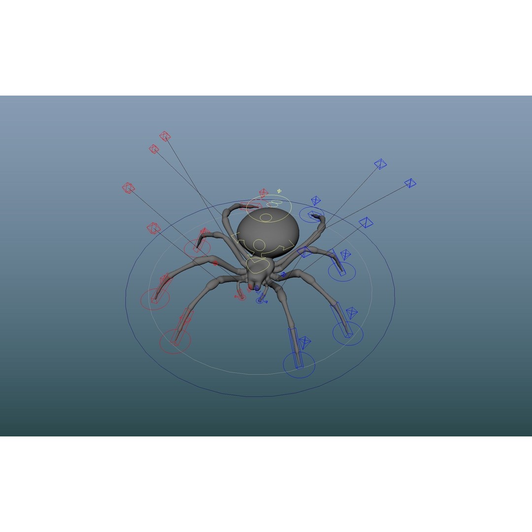 Garden Spider 3D Model – Low Poly Rigged Insect with PBR Textures - View 4