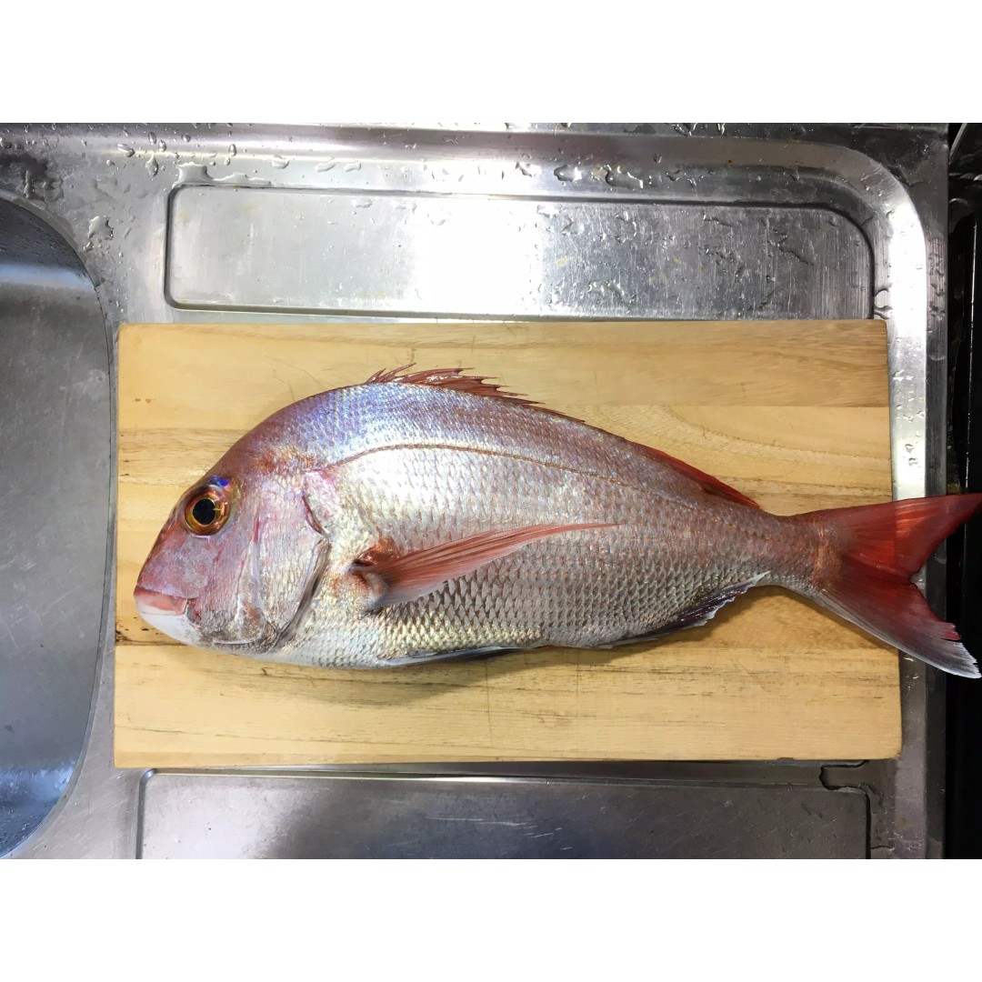 Red Sea Bream 3D Model – Low Poly Fish Asset, FBX and Blender - View 12
