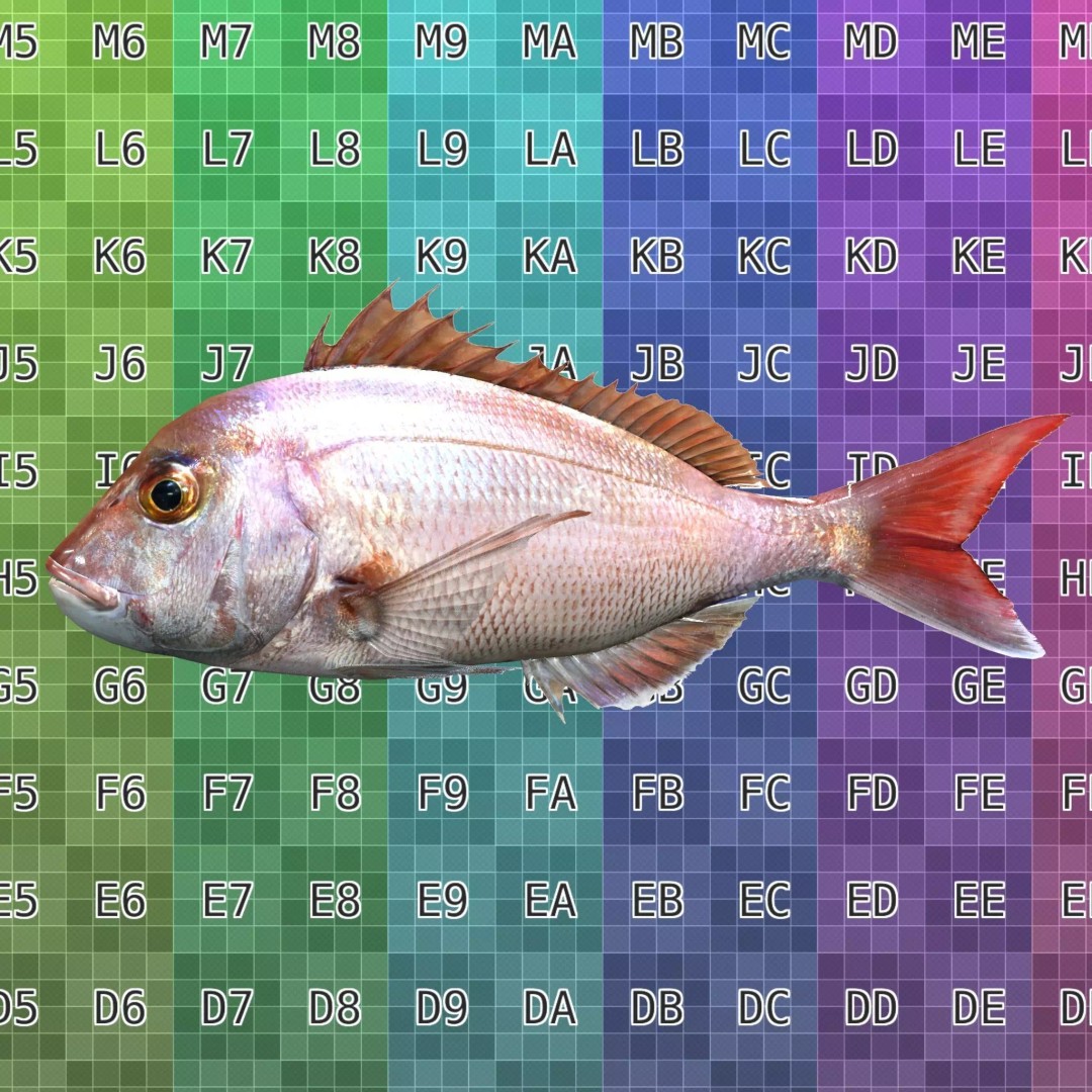 Red Sea Bream 3D Model – Low Poly Fish Asset, FBX and Blender - View 5