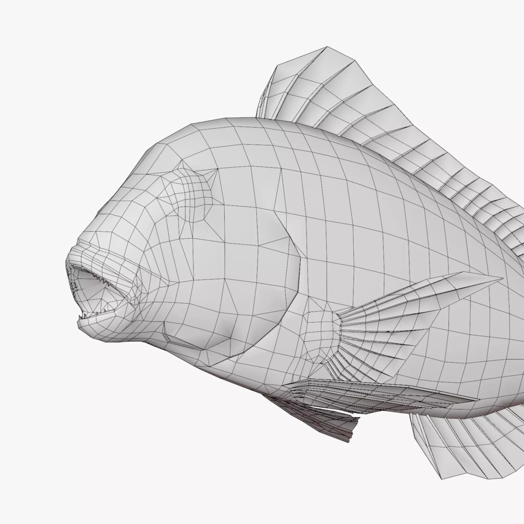 Red Sea Bream 3D Model – Low Poly Fish Asset, FBX and Blender - View 7