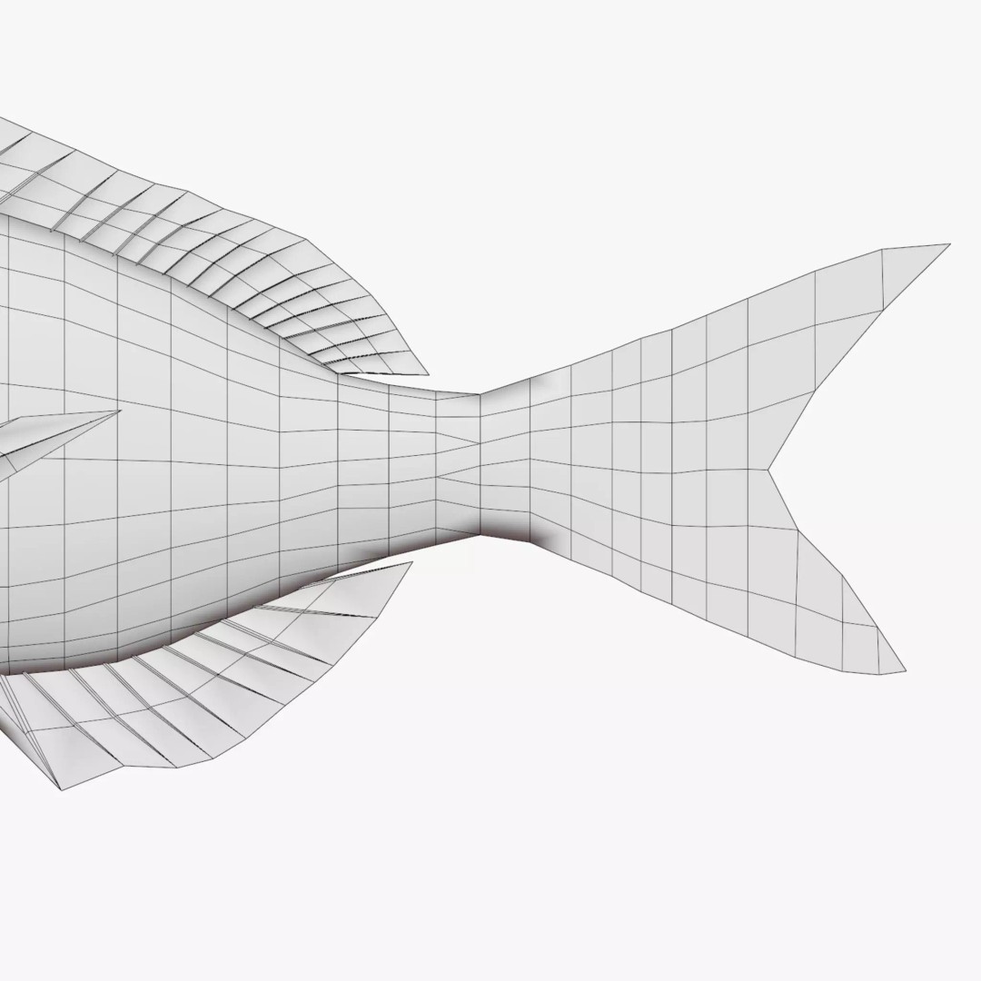 Red Sea Bream 3D Model – Low Poly Fish Asset, FBX and Blender - View 8